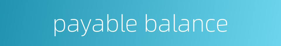 payable balance的同义词