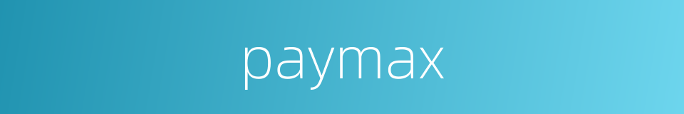 paymax的同义词