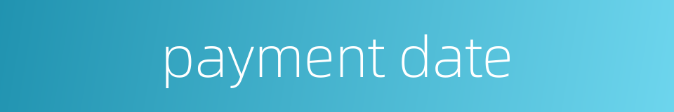 payment date的同义词