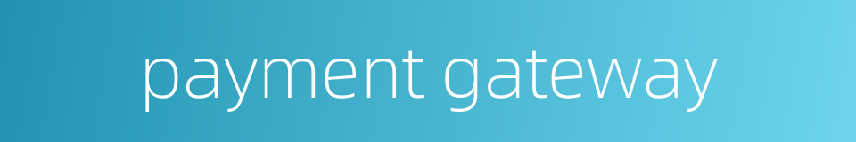 payment gateway的同义词