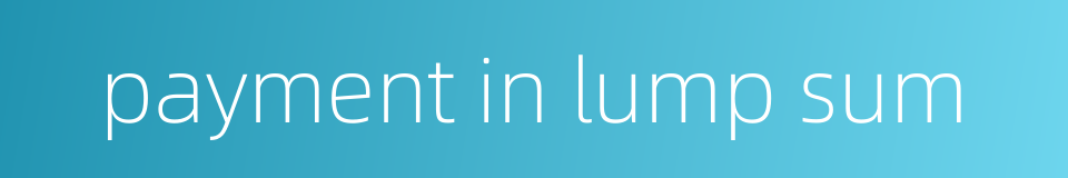 payment in lump sum的同义词