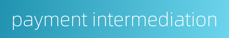 payment intermediation的同义词
