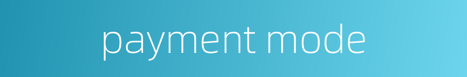 payment mode的同义词