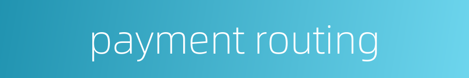 payment routing的同义词