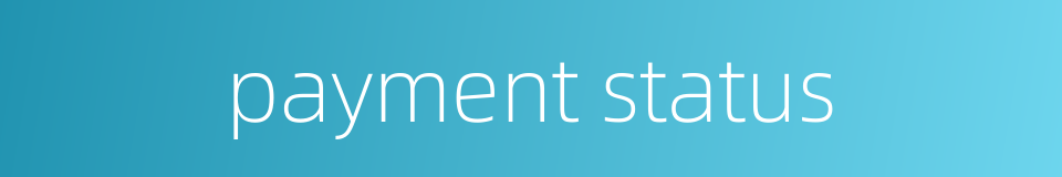 payment status的同义词