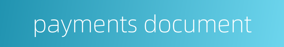 payments document的同义词