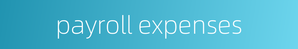 payroll expenses的同义词