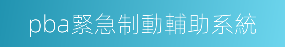 pba緊急制動輔助系統的同義詞