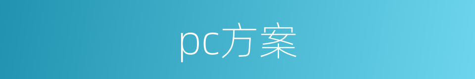 pc方案的同义词