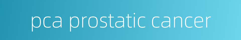 pca prostatic cancer的同义词