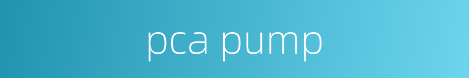 pca pump的同义词