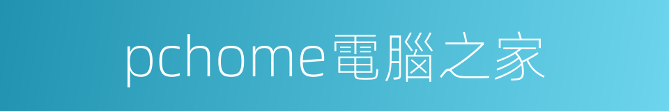 pchome電腦之家的同義詞