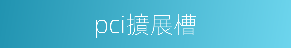 pci擴展槽的同義詞