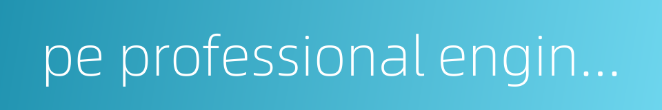 pe professional engineer的同义词