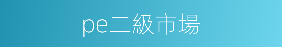 pe二級市場的同義詞
