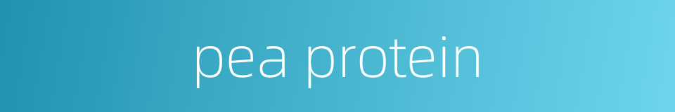 pea protein的同义词