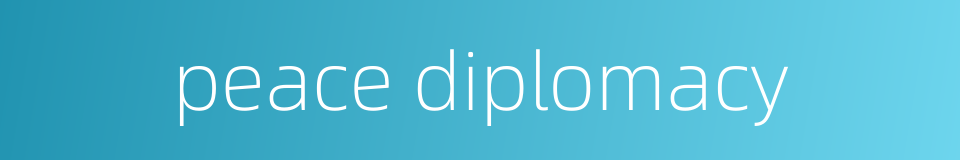 peace diplomacy的同义词