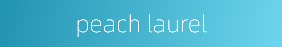 peach laurel的同义词