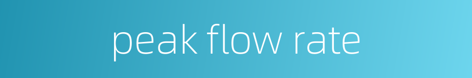 peak flow rate的同义词