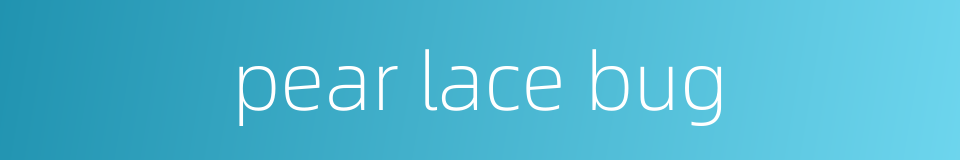 pear lace bug的同义词
