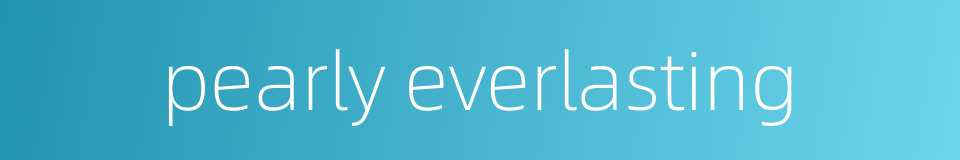 pearly everlasting的同义词