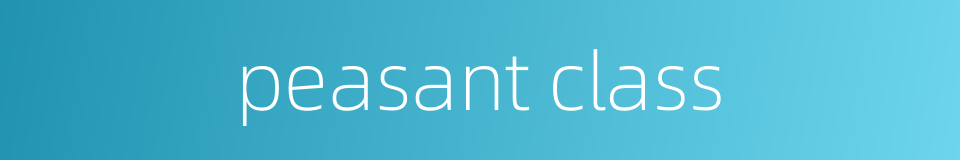 peasant class的同义词