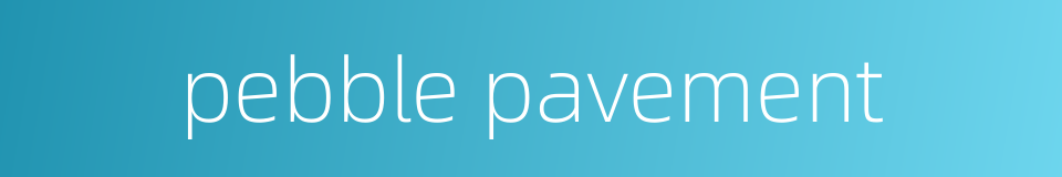 pebble pavement的同义词