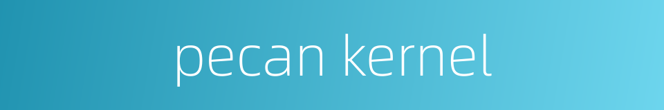 pecan kernel的同义词
