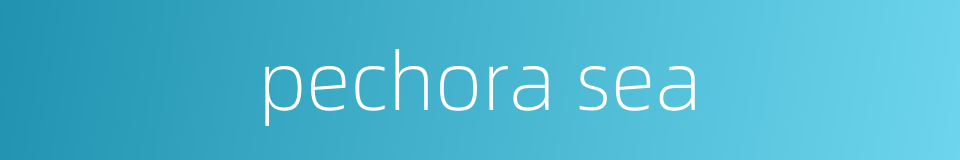 pechora sea的同义词