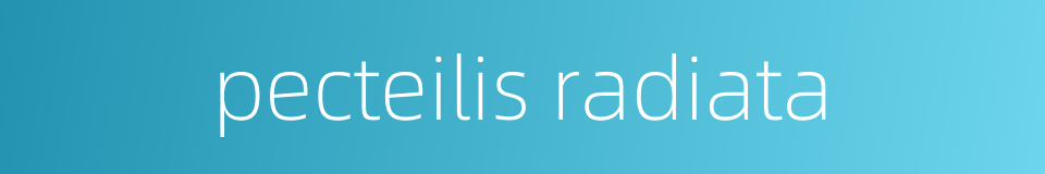 pecteilis radiata的同义词