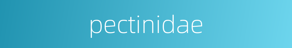 pectinidae的同义词