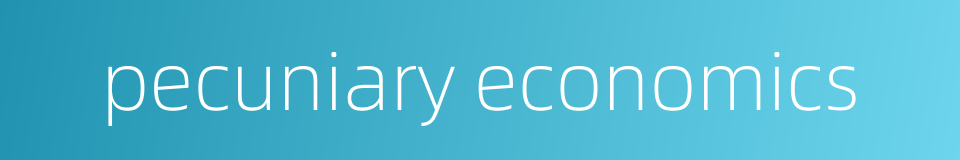 pecuniary economics的同义词