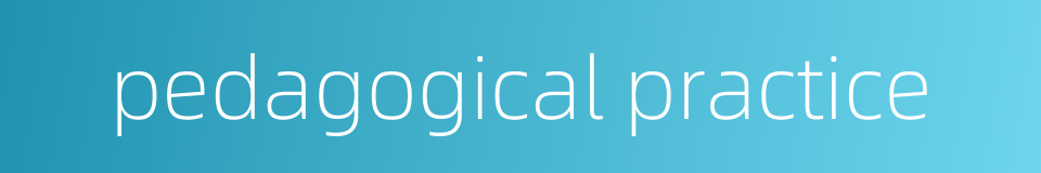 pedagogical practice的同义词