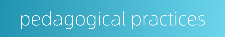 pedagogical practices的同义词