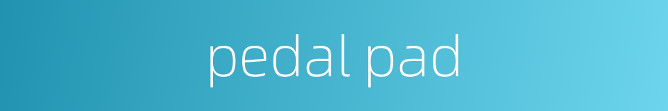 pedal pad的同义词