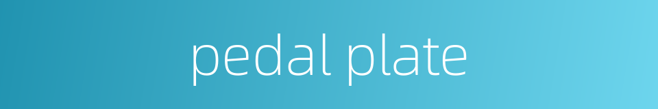 pedal plate的同义词