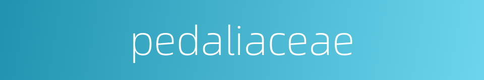 pedaliaceae的同义词