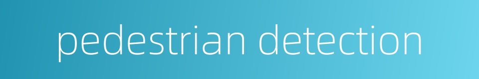 pedestrian detection的同义词