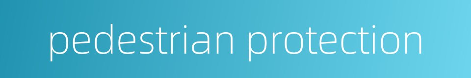pedestrian protection的同义词