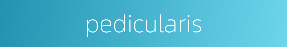 pedicularis的同义词