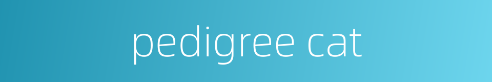 pedigree cat的同义词