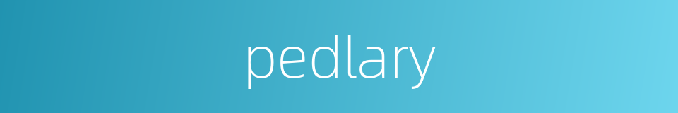 pedlary的同义词