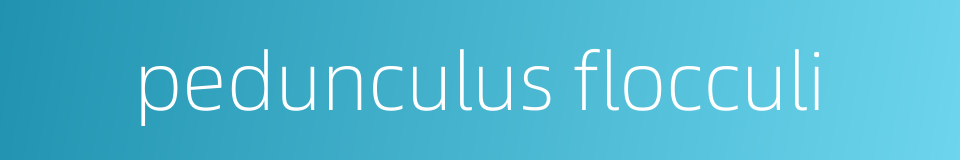 pedunculus flocculi的同义词
