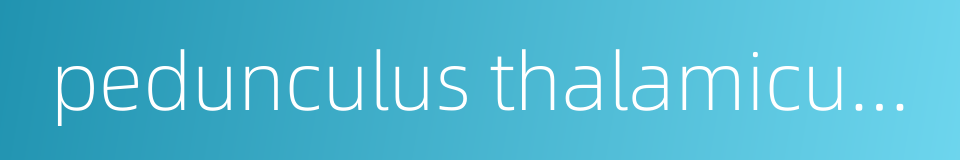 pedunculus thalamicus inferior的同义词