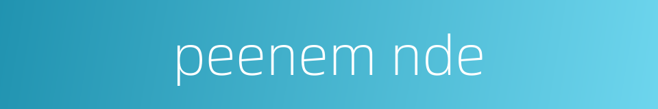 peenem nde的同义词