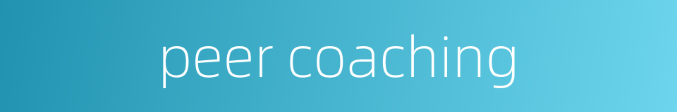 peer coaching的同义词