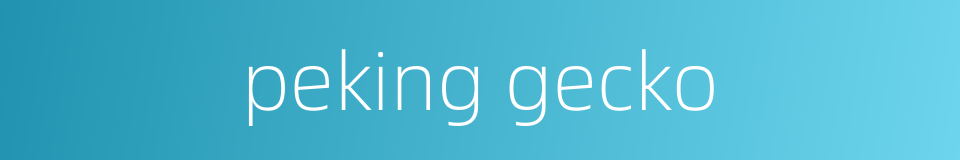 peking gecko的同义词