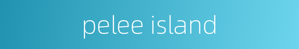 pelee island的同义词