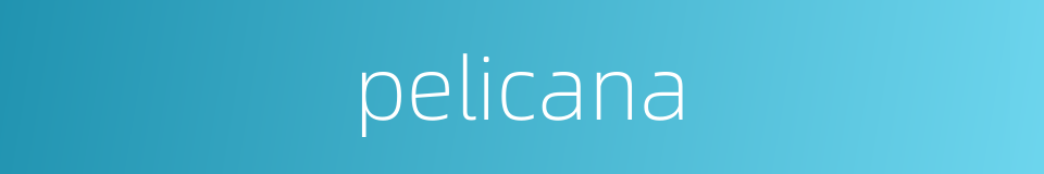 pelicana的同义词