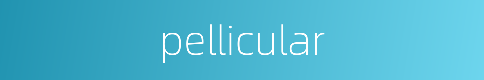 pellicular的同义词